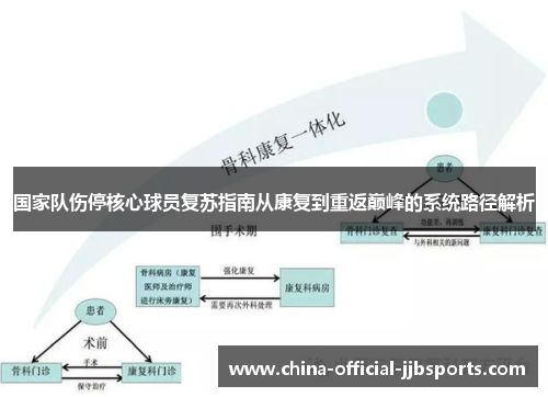 国家队伤停核心球员复苏指南从康复到重返巅峰的系统路径解析 国家队伤停核心球员复苏指南从康复到重返巅峰的系统路径解析